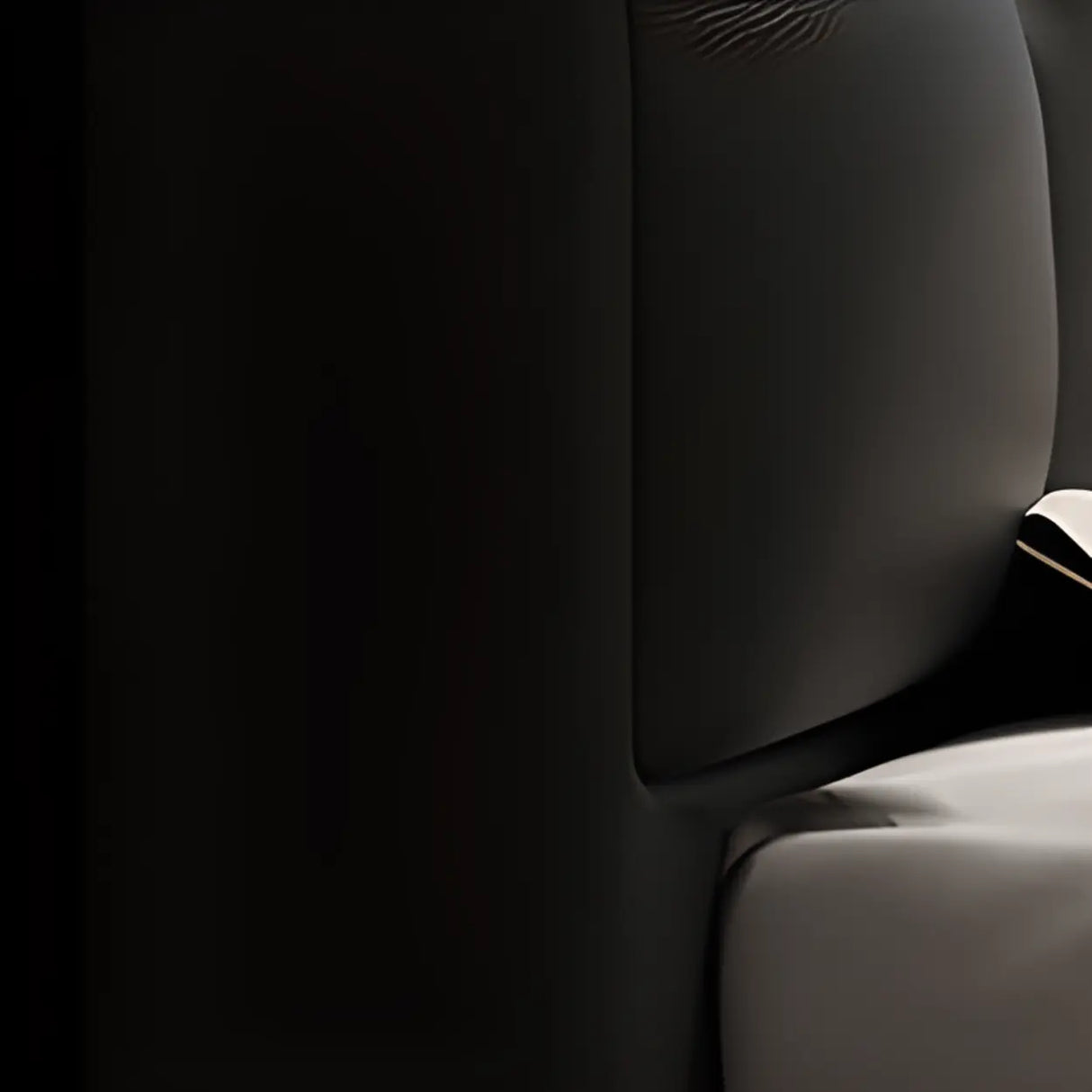 Black Queen Sponge Upholstered Storage Included Bed Image - 4
