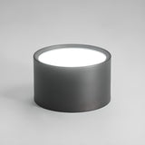 Black White LED Cylinder Flush Mount Ceiling Light Image - 8