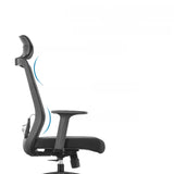 Classic Lumbar Support Black Ergonomic Mesh Office Chair Image - 3