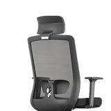 Classic Lumbar Support Black Ergonomic Mesh Office Chair Image - 4