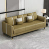 Coffee Anti Cat Scratch Leather Square Arm Pillow Sofa Image - 17