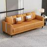 Coffee Anti Cat Scratch Leather Square Arm Pillow Sofa Image - 2