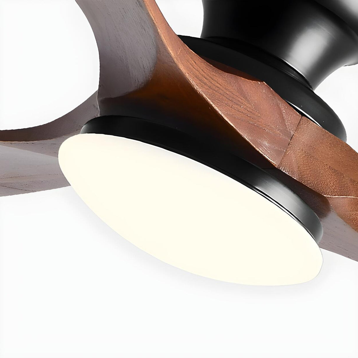 Contemporary 3 Solid Wood Blades Ceiling Fan with Light Image - 11