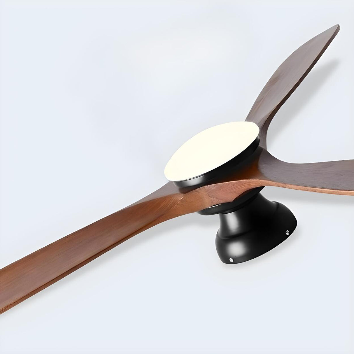 Contemporary 3 Solid Wood Blades Ceiling Fan with Light Image - 9