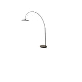 Contemporary Colorful Disc Metal Arched Floor Lamp Image - 13
