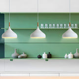 Contemporary Metal Teardrop-Shaped Pendant Light Image - 1