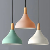 Dining Room Adjustable Iron Unique-Shaped Pendant Light Image - 14