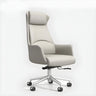 Ergonomic High-Back Leather Silver Frame Office Chair Image - 5