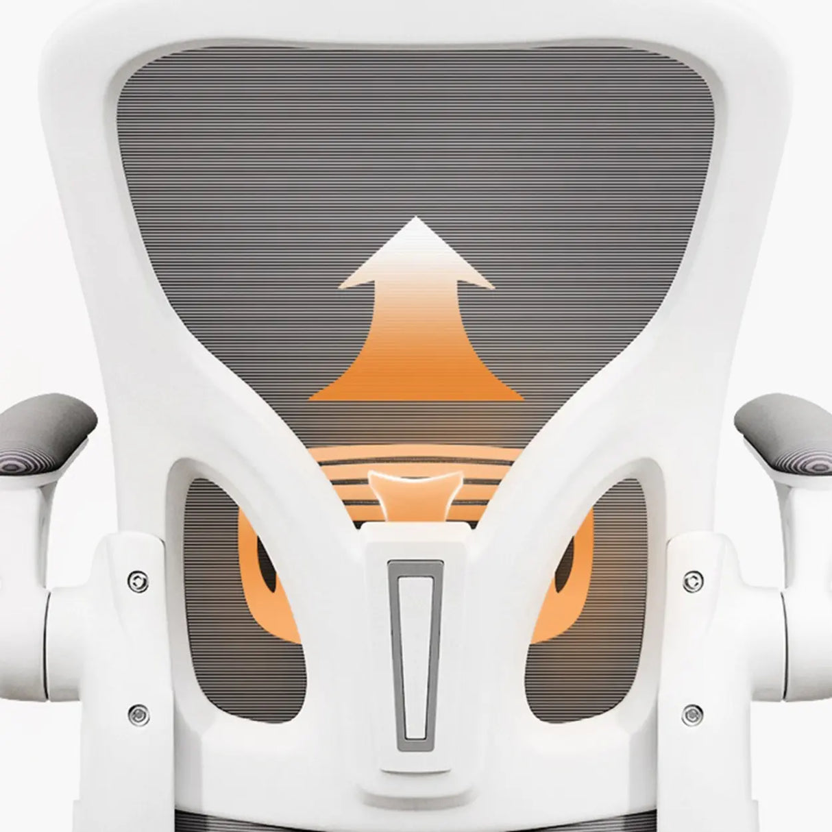 Ergonomic White-Gray Adjustable Mesh Task Office Chair Image - 16