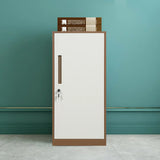 Fire Resistant Tall Steel Vertical Lockable Filing Cabinet Image - 26