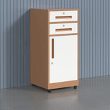 Fire Resistant Vertical Filing Cabinet with Lock and Casters Image - 24