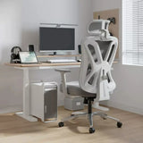 Gray Adjustable Lumbar Ergonomic Mesh Office Chair Image - 7