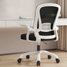 Grey Modern Ergonomic Mesh Lumbar Support Office Chair Image - 2