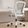 Grey Modern Ergonomic Mesh Lumbar Support Office Chair Image - 3