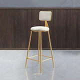 Grey Modern Gold Iron Velvet Tall Bar Stool with Cushion Image - 32