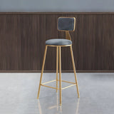 Grey Modern Gold Iron Velvet Tall Bar Stool with Cushion Image - 41