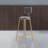 Grey Modern Gold Iron Velvet Tall Bar Stool with Cushion Image - 41