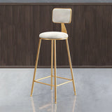 Grey Modern Gold Iron Velvet Tall Bar Stool with Cushion Image - 49