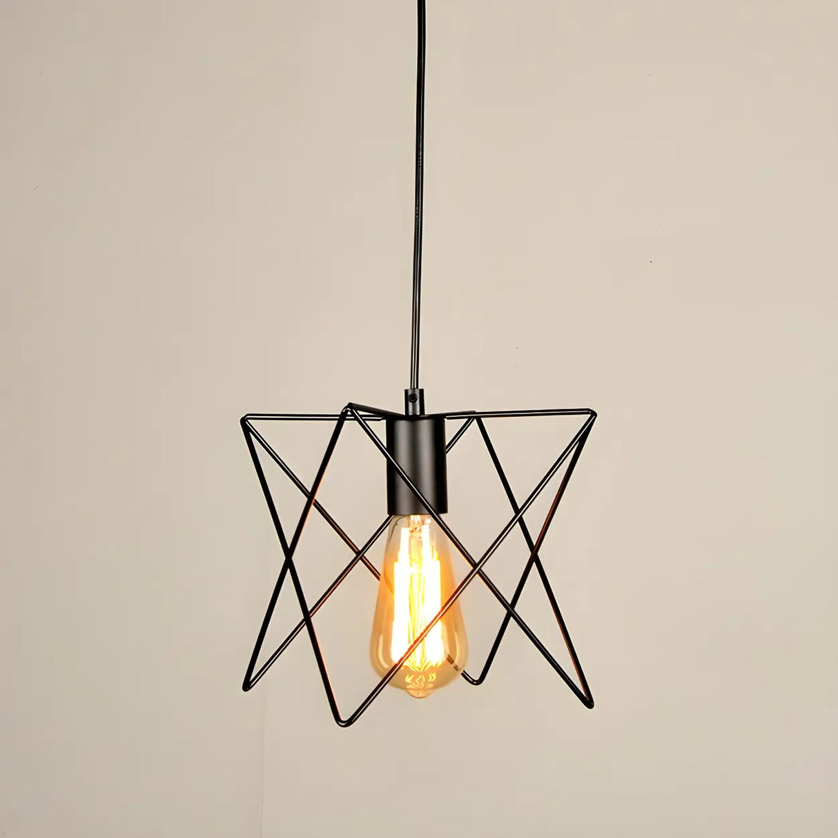 Industrial Black Metal Wire Caged Cord Pendant Light Image - 11