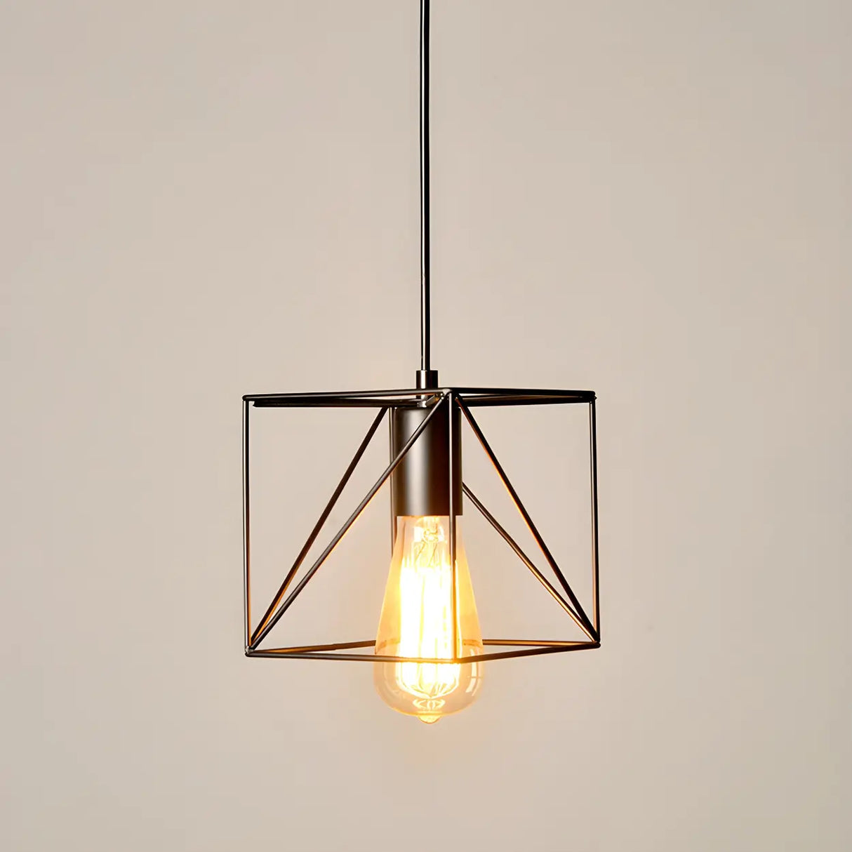 Industrial Black Metal Wire Caged Cord Pendant Light Image - 3