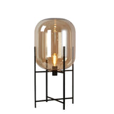 Industrial Glass Dome Black Metal Frame Floor Lamp Image - 9