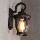 Industrial Gooseneck Glass Outdoor Black Wall Lamp Image - 2