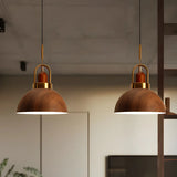Kitchen Simplicity Metal Geometric Pendant Light Image - 7