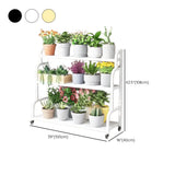 Ladder Metal Rolling 3-Tier Storage Plant Stand Gold Image - 27