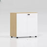 Lockable Secure Vertical Wood Filing Cabinet with Lock Image - 15