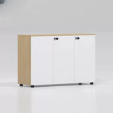 Lockable Secure Vertical Wood Filing Cabinet with Lock Image - 16
