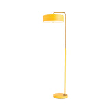 Macaron Modern Drum Iron LED Living Room Floor Lamp Image - 4