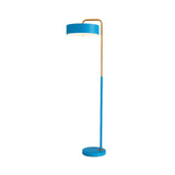 Macaron Modern Drum Iron LED Living Room Floor Lamp Image - 8