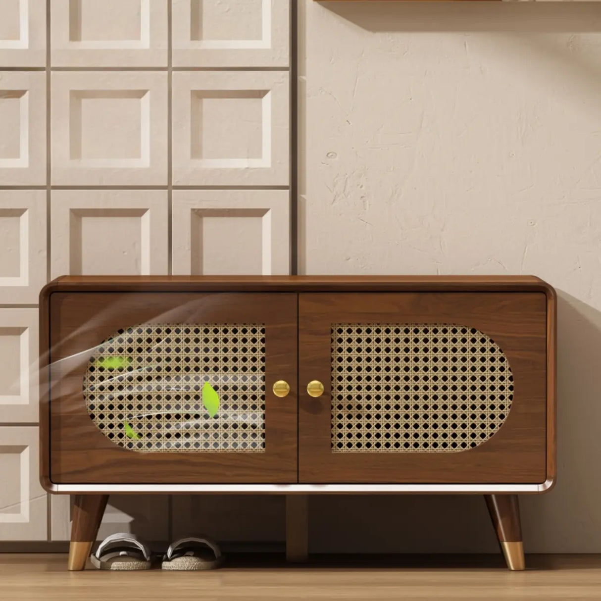 Mid-Century Modern Rattan and Wood Storage Cabinet Image - 1