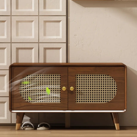 Mid-Century Modern Rattan and Wood Storage Cabinet Image - 1