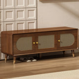 Mid-Century Modern Rattan and Wood Storage Cabinet Image - 7