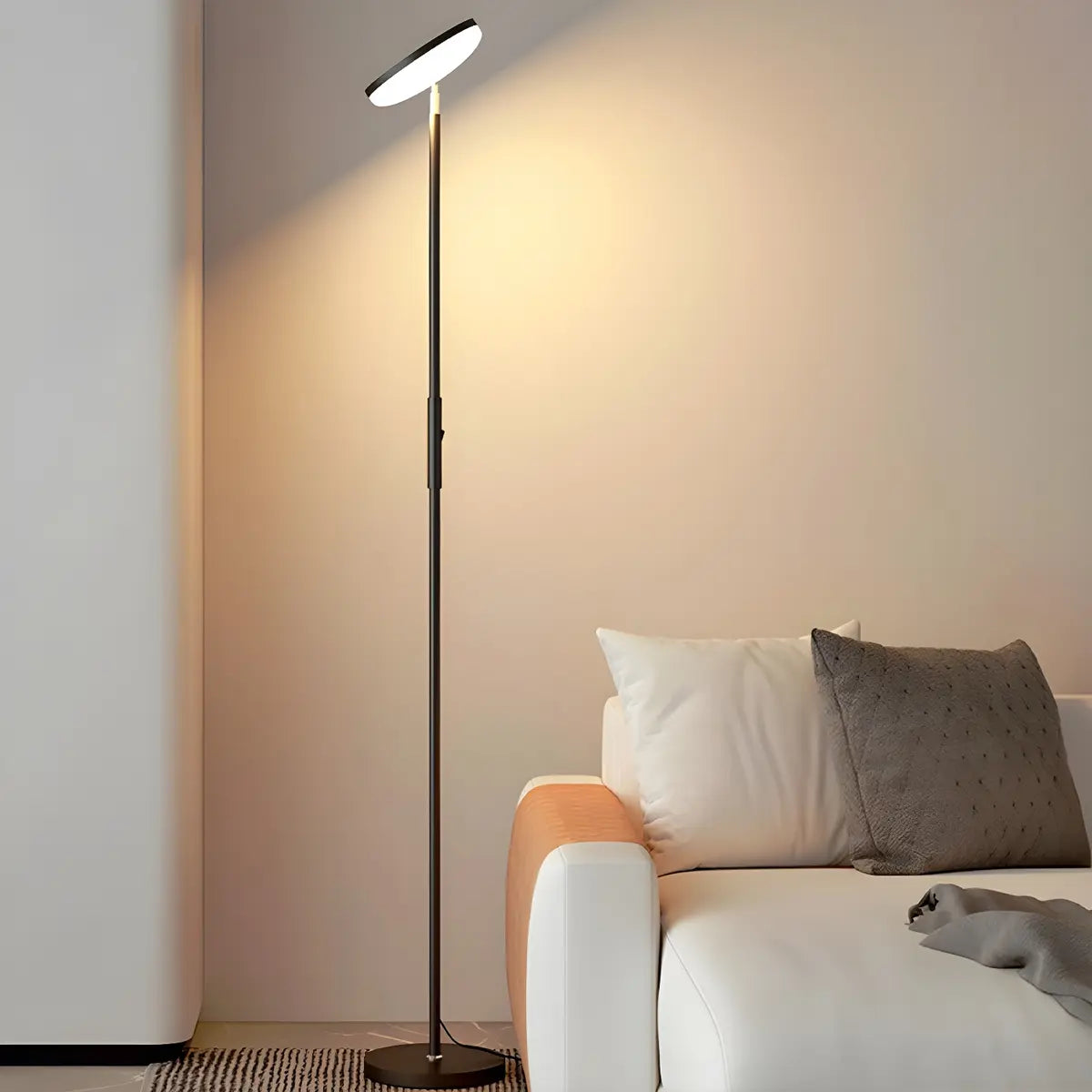 Minimalist Black Disc Adjustable Metal Floor Lamp Image - 16