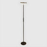 Minimalist Black Disc Adjustable Metal Floor Lamp Image - 3
