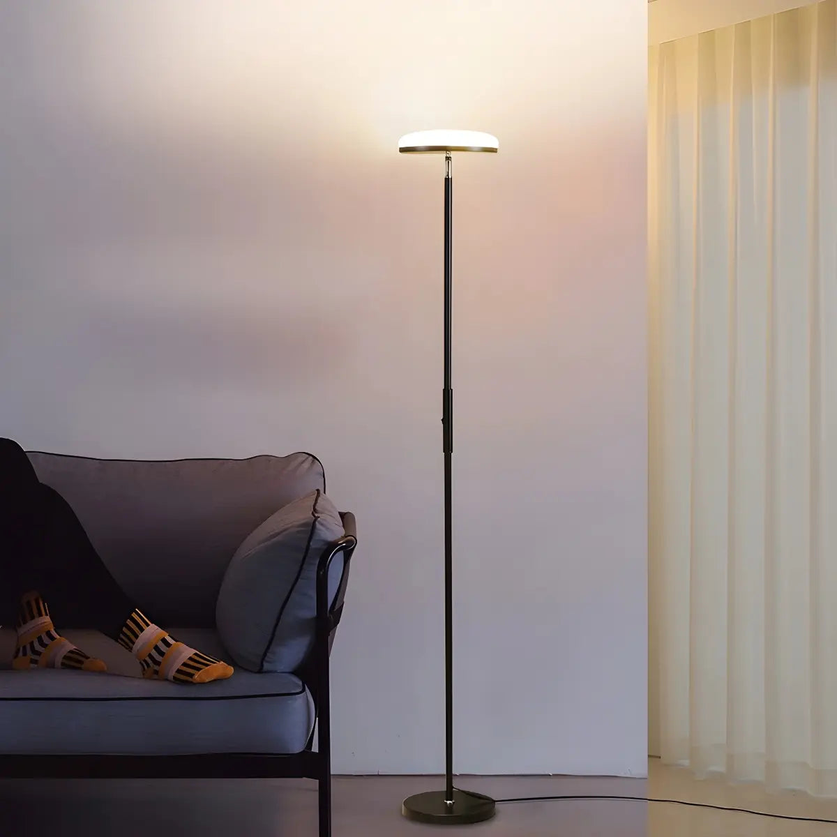Minimalist Black Disc Adjustable Metal Floor Lamp Image - 4