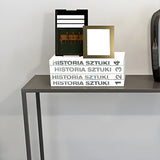 Minimalist Metal Black Stain Resistant Console Table Image - 6
