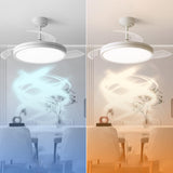 Minimalist Round White 3-Blade Ceiling Fan with Light Image - 8