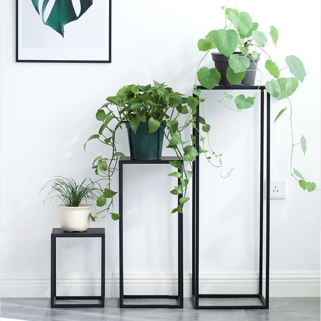 Minimalist Square 1 Tier Metal Frame Black Plant Stand Image - 11