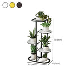 Modern Circular Tray Multi-Tier Metal Floor Plant Stand Image - 25