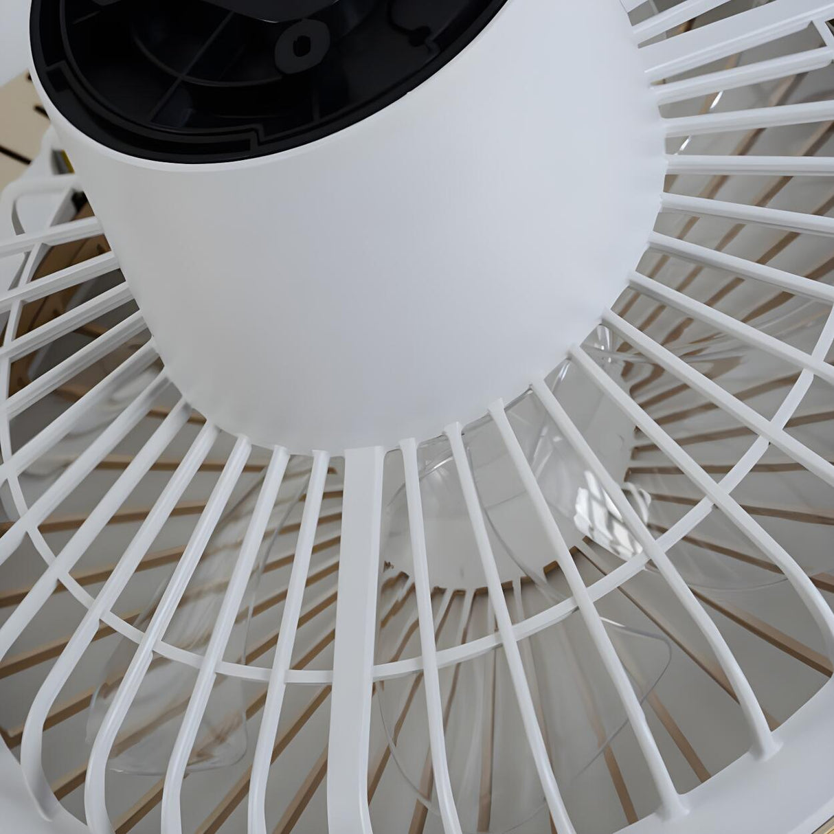 Modern Elegant Bladeless Flower Ceiling Fan with Light Image - 13