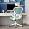 Modern Ergonomic Mesh Blue Adjustable Back Office Chair Image - 14