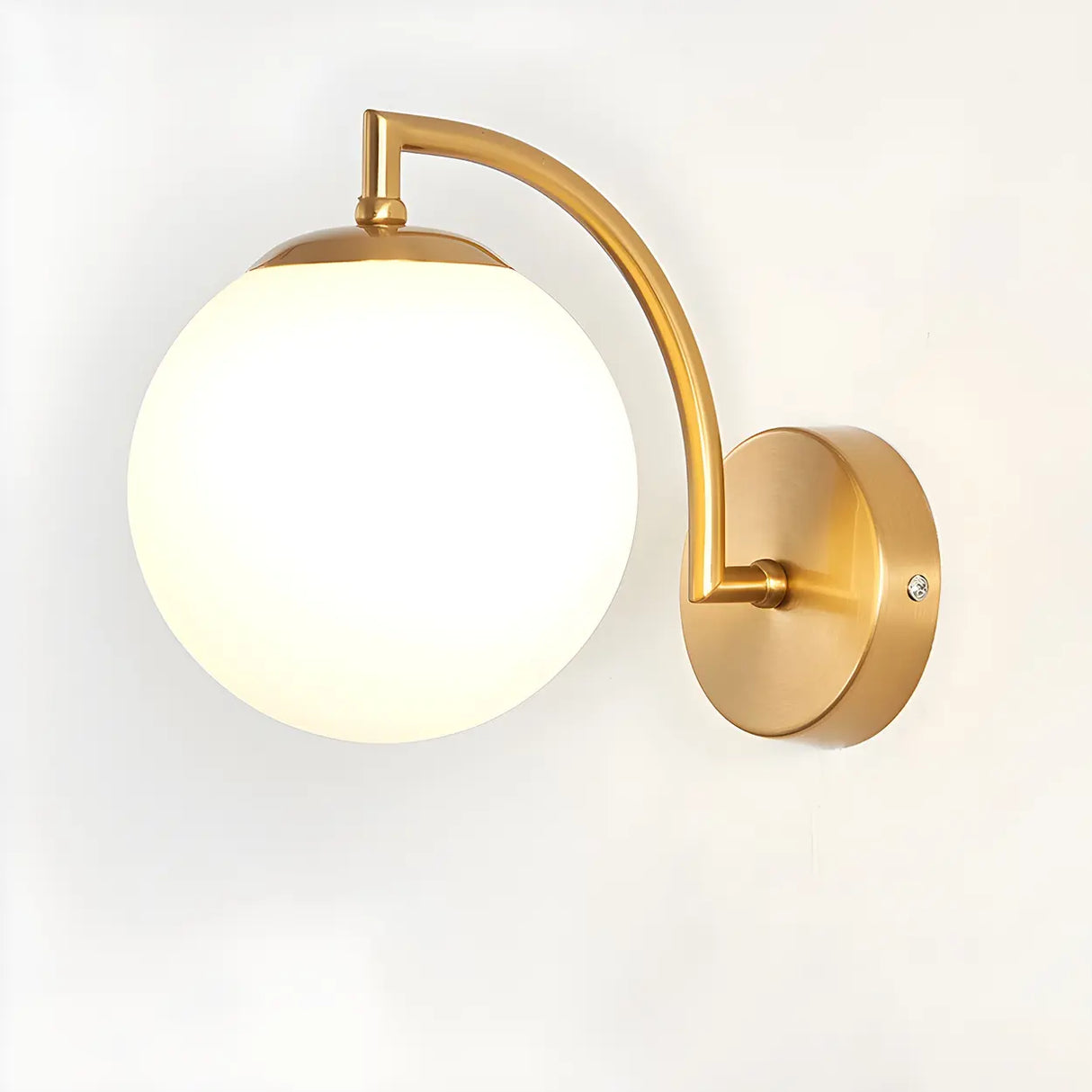 Modern Globe Glass Wall Light with Black Finish Image - 12