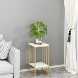 Modern Gold 2-Tier Display Square Metal Plant Stand Image - 16