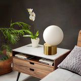 Modern Gold Column Base Globe Glass Decor Table Lamp Image - 12