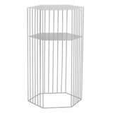 Modern Hexagonal Metal Black Plant Stand with Shelves Image - 10