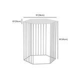 Modern Hexagonal Metal Black Plant Stand with Shelves Image - 17