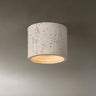 Modern Khaki Cylinder Flush Mount Ceiling Light 2-Light Image - 9